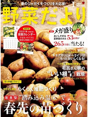 cover image of 野菜だより2021年1月号